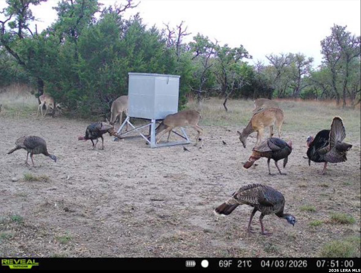 Tbd Brecken Ranch Road Fredericksburg TX 78671