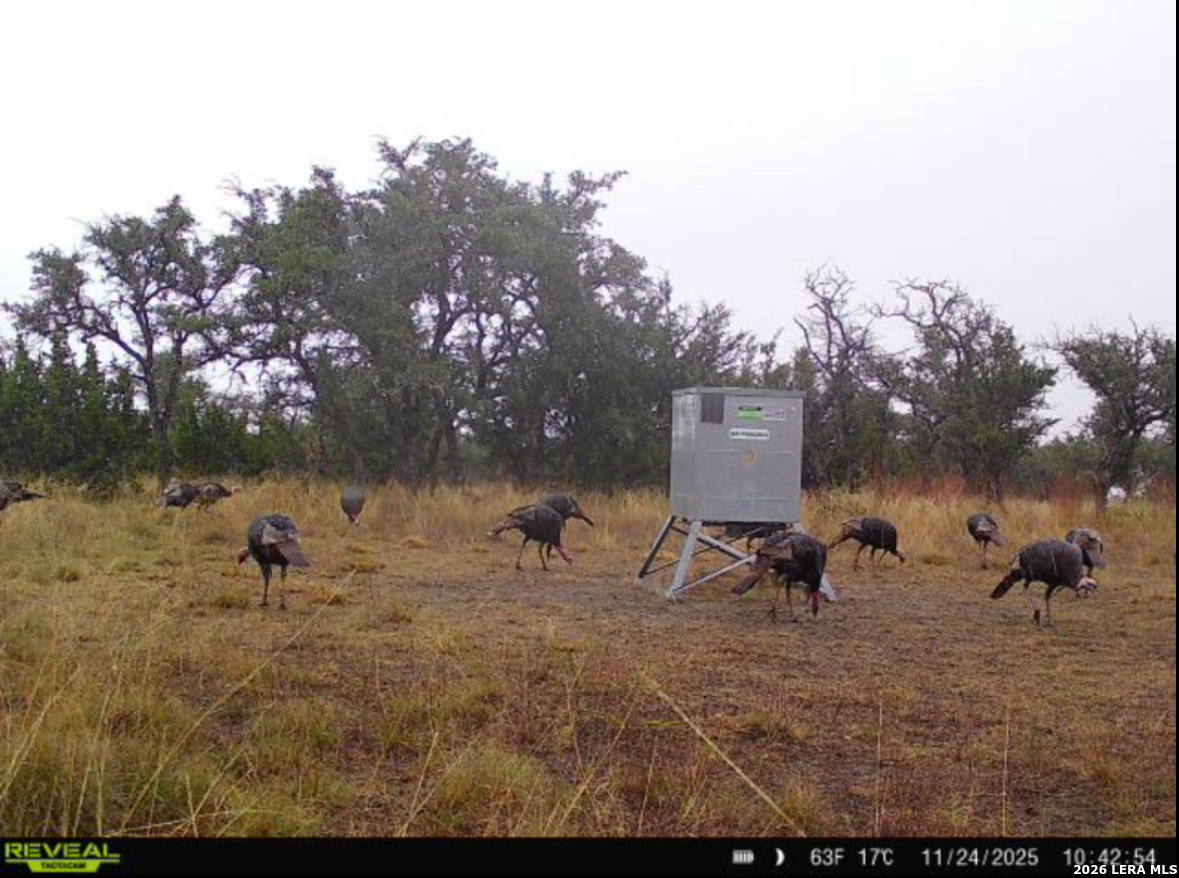 Tbd Brecken Ranch Road Fredericksburg TX 78671
