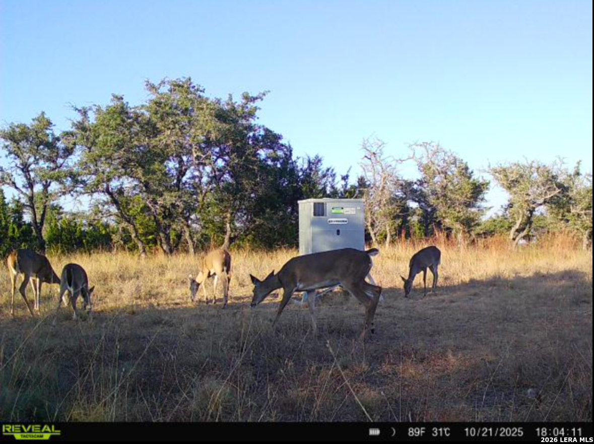 Tbd Brecken Ranch Road Fredericksburg TX 78671