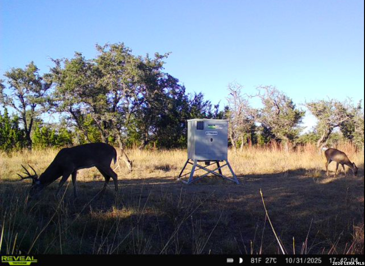 Tbd Brecken Ranch Road Fredericksburg TX 78671