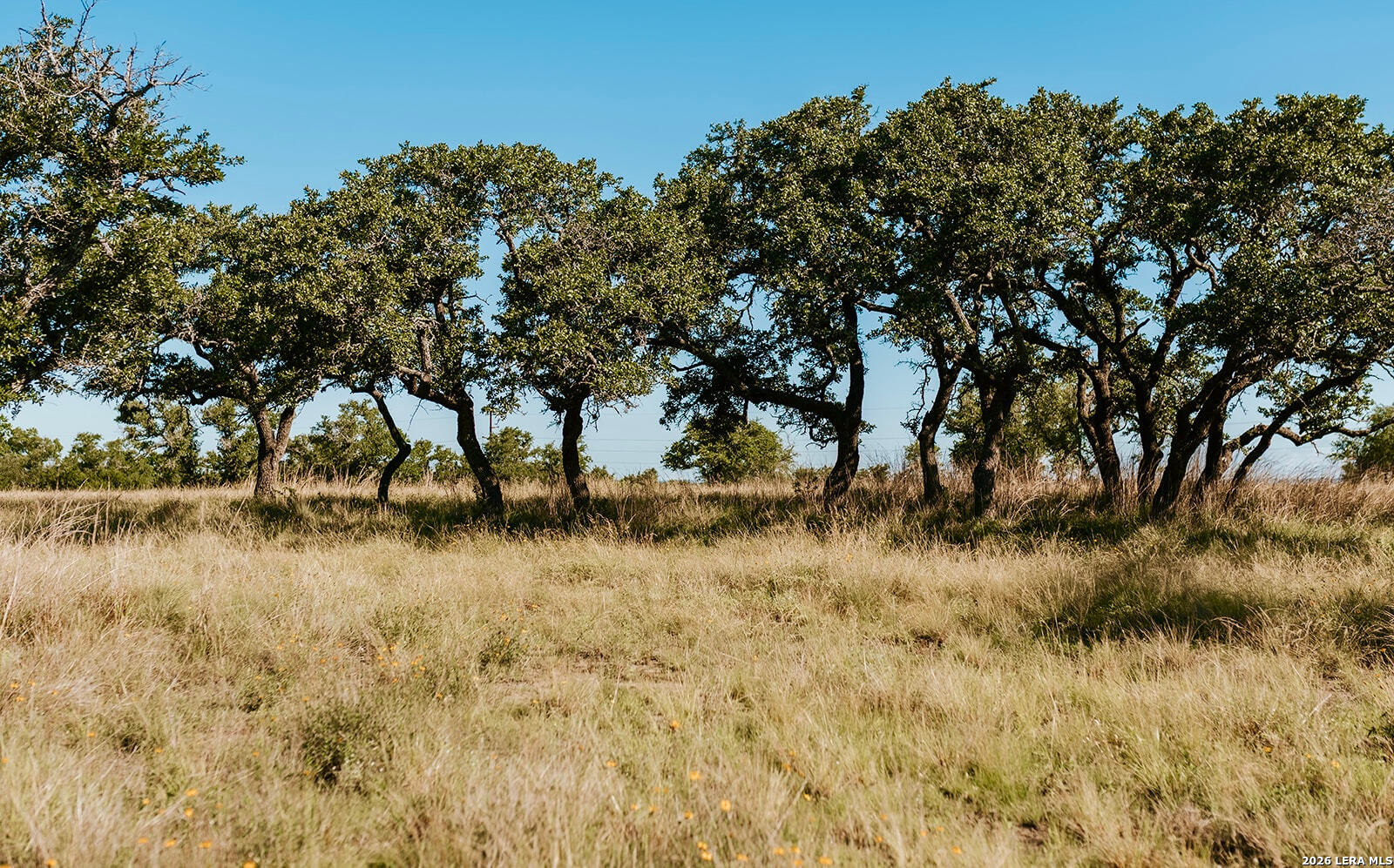 Tbd Brecken Ranch Road Fredericksburg TX 78671