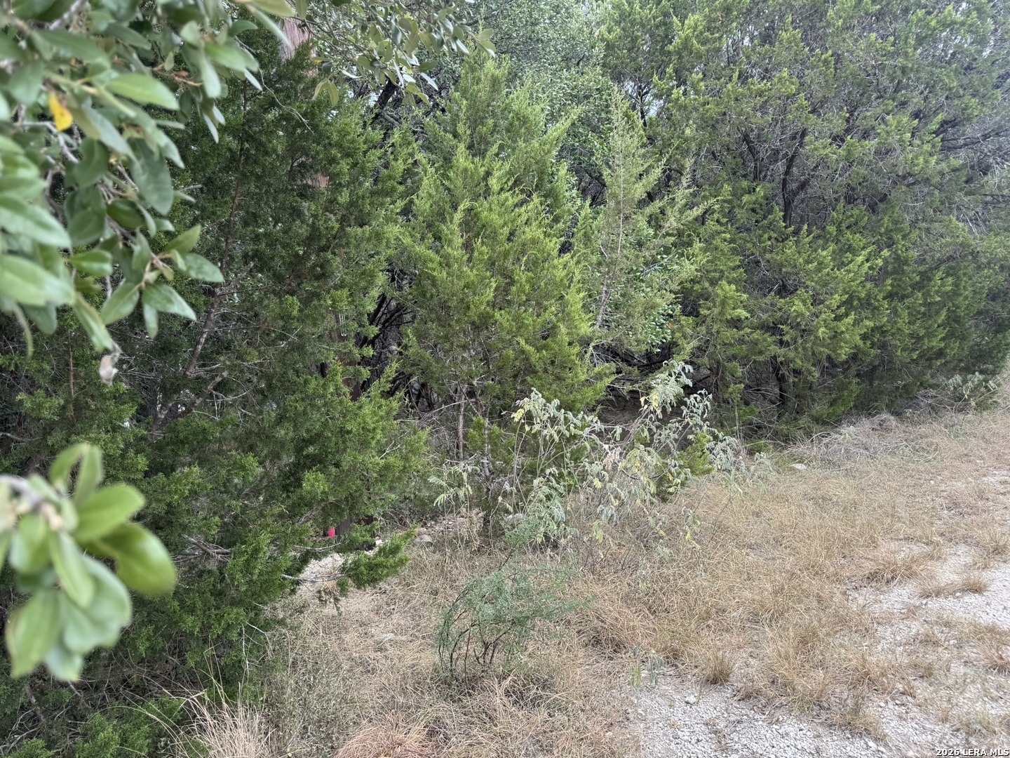 1567 Canyon Bend Canyon Lake TX 78133