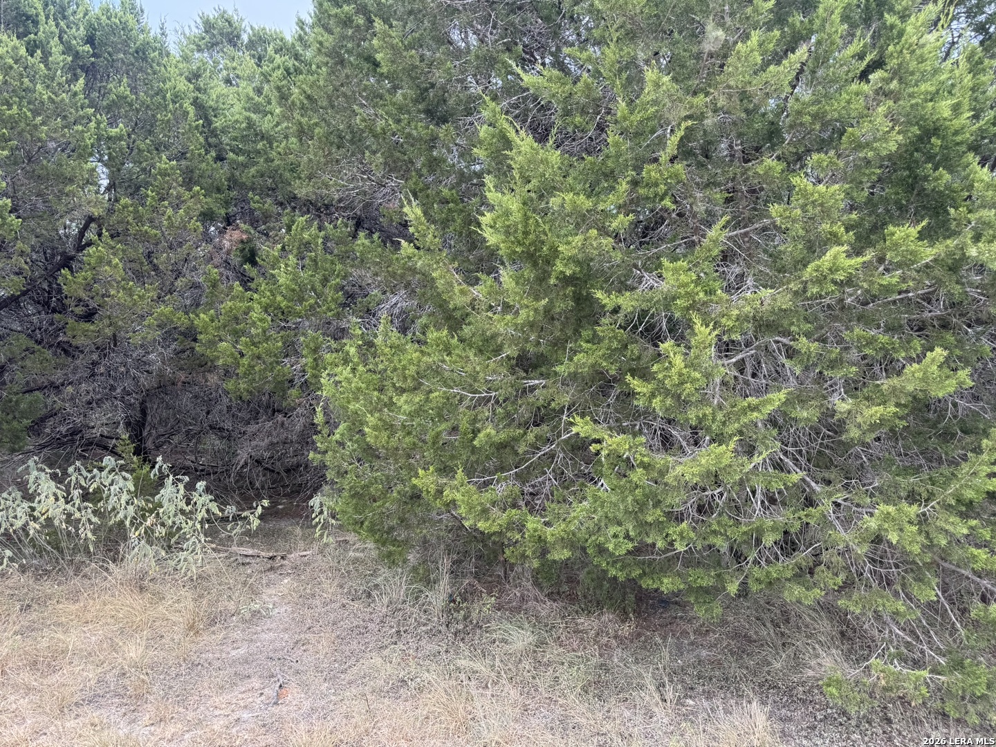 1567 Canyon Bend Canyon Lake TX 78133