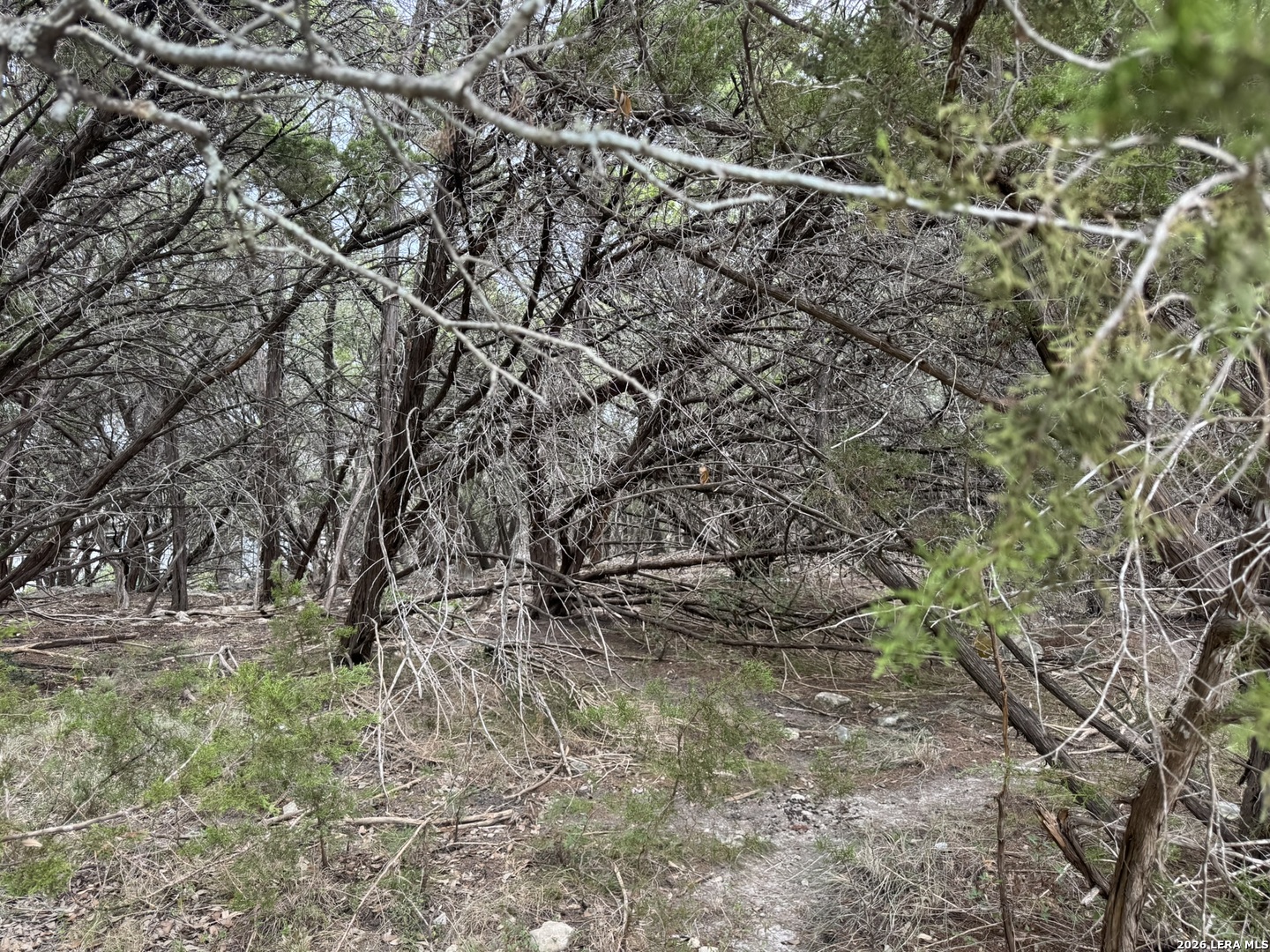 1567 Canyon Bend Canyon Lake TX 78133