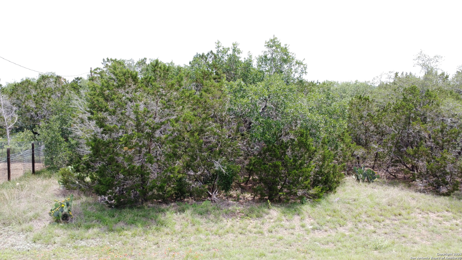 Tbd County Road 2473 Hondo TX 78861