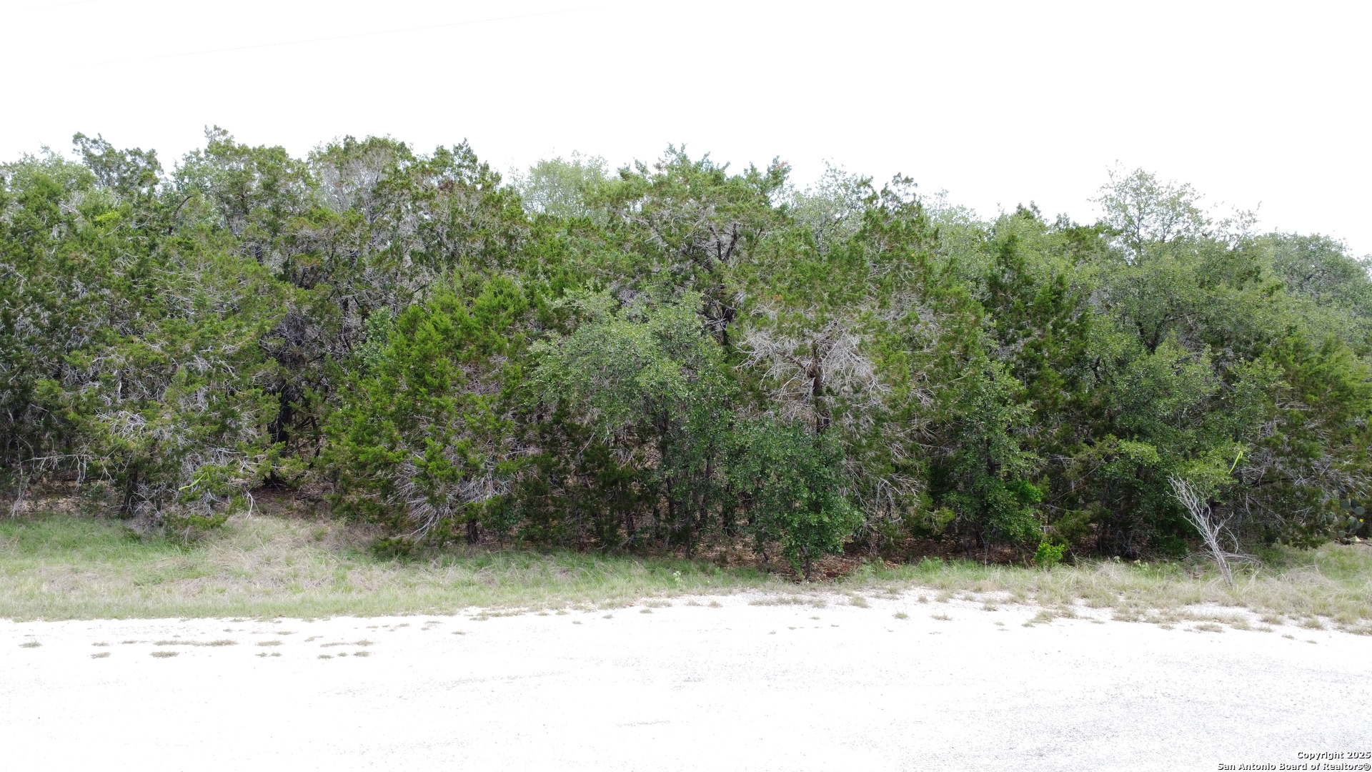 Tbd County Road 2473 Hondo TX 78861
