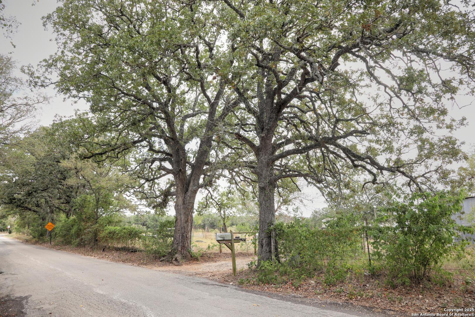 81 Sandy Creek Road Dale TX 78616