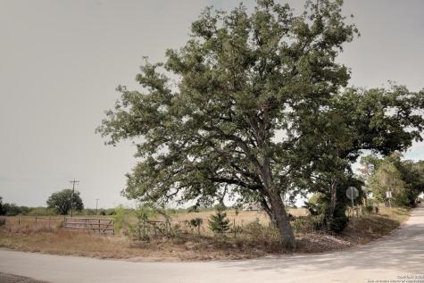 81 Sandy Creek Road Dale TX 78616