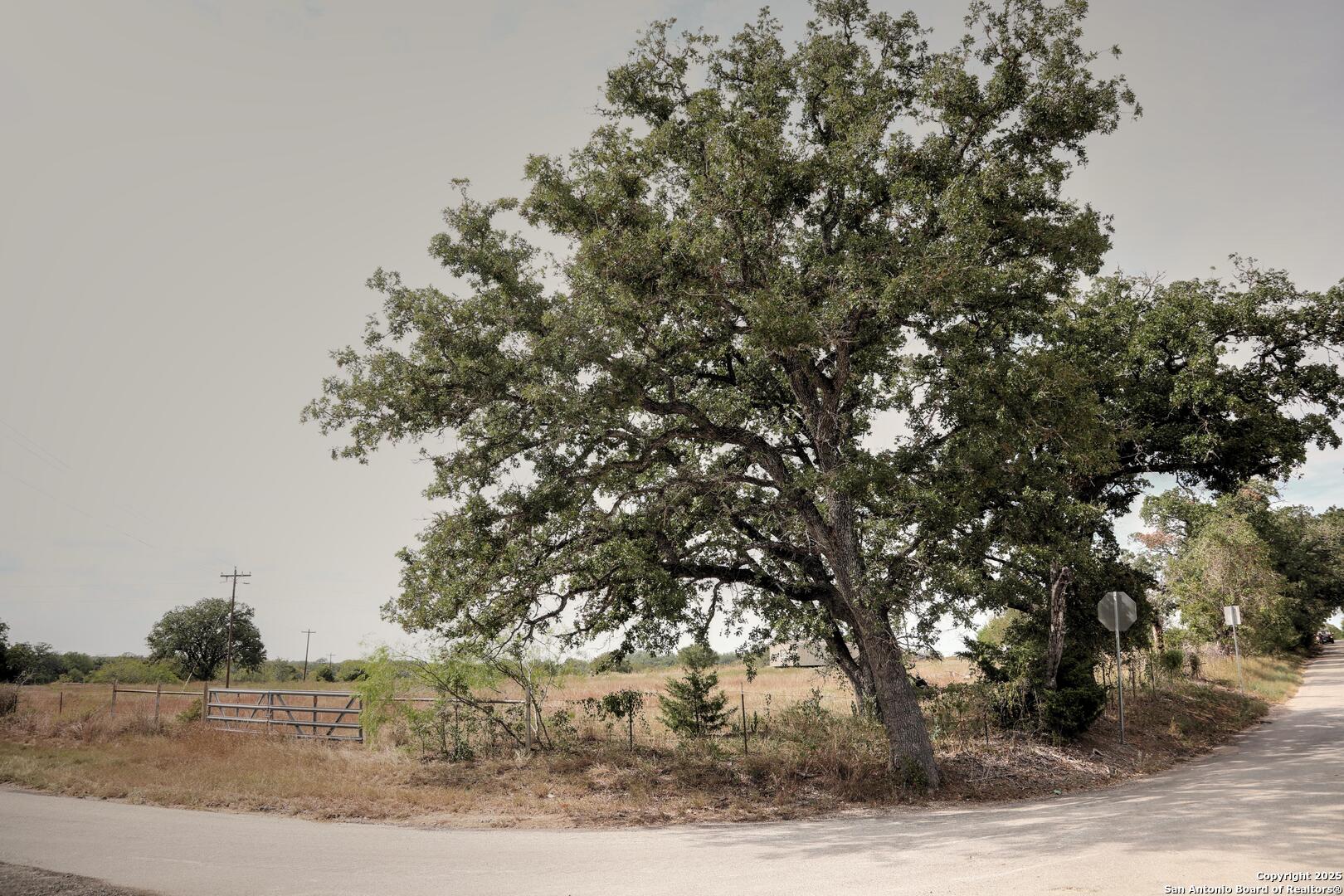 81 Sandy Creek Road Dale TX 78616