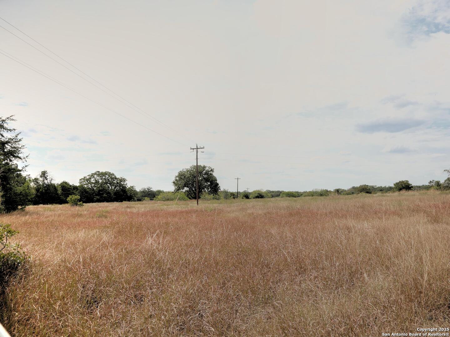 81 Sandy Creek Road Dale TX 78616