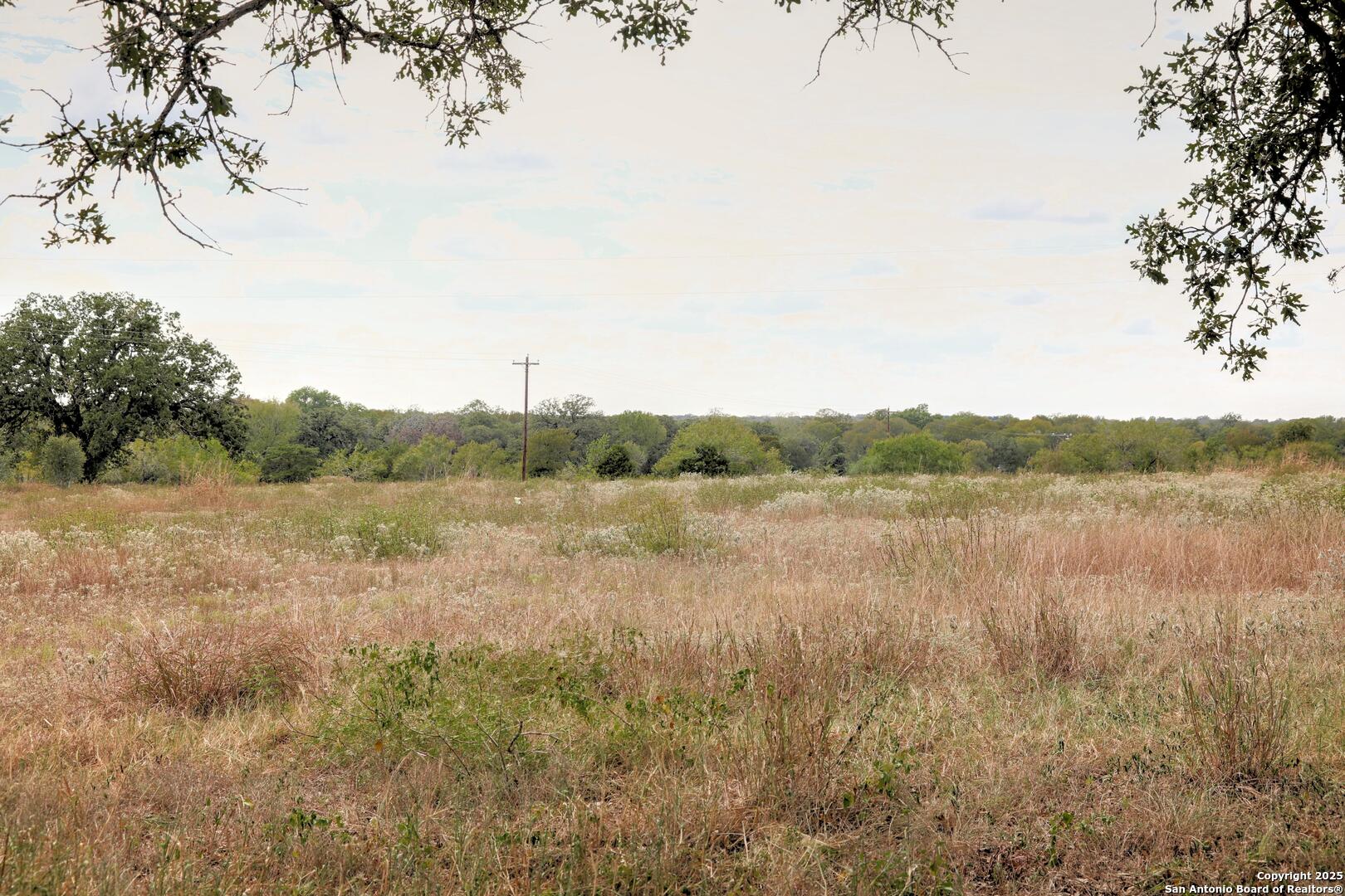 81 Sandy Creek Road Dale TX 78616