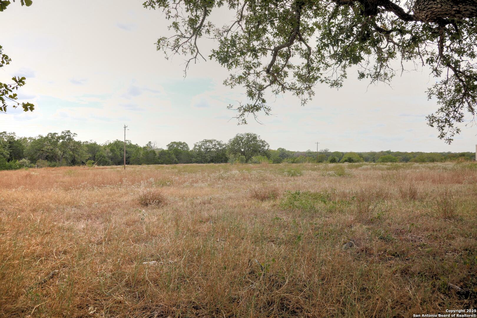 81 Sandy Creek Road Dale TX 78616