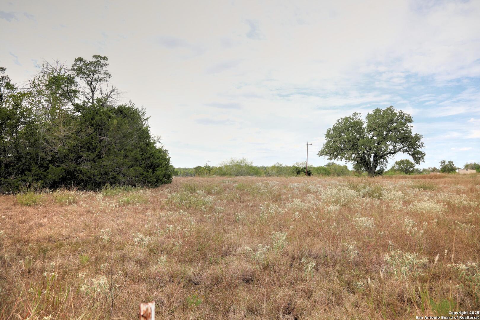 81 Sandy Creek Road Dale TX 78616
