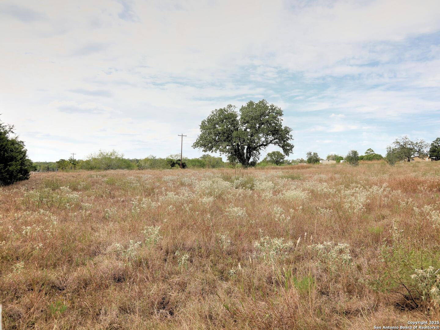 81 Sandy Creek Road Dale TX 78616