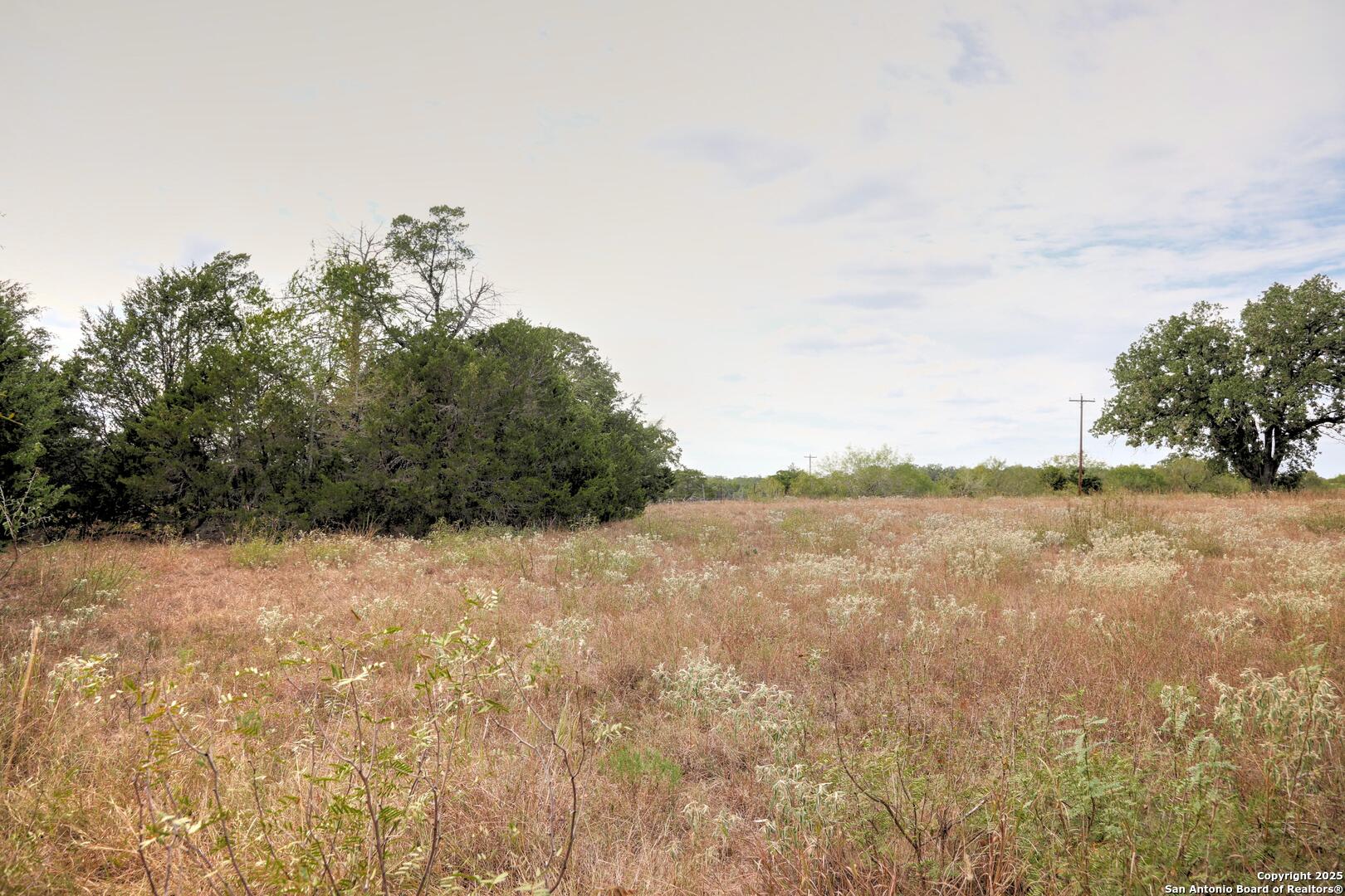 81 Sandy Creek Road Dale TX 78616