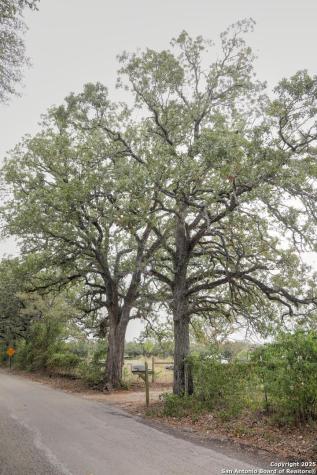81 Sandy Creek Road Dale TX 78616