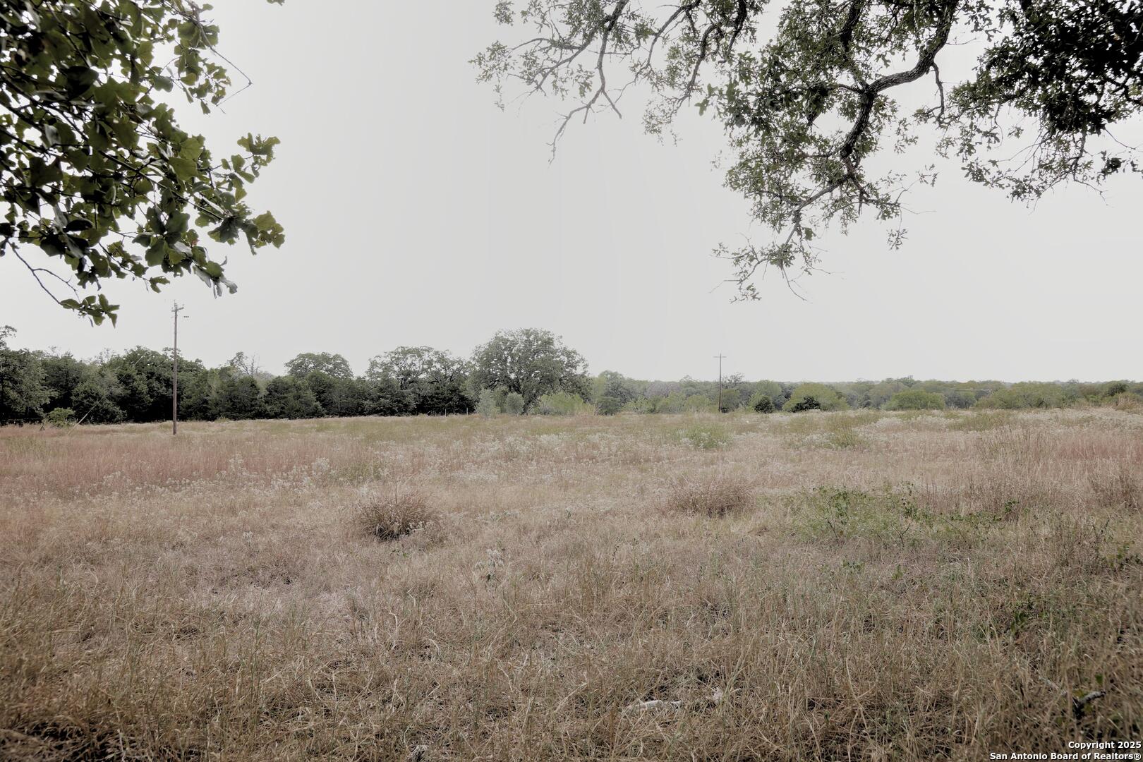 81 Sandy Creek Road Dale TX 78616