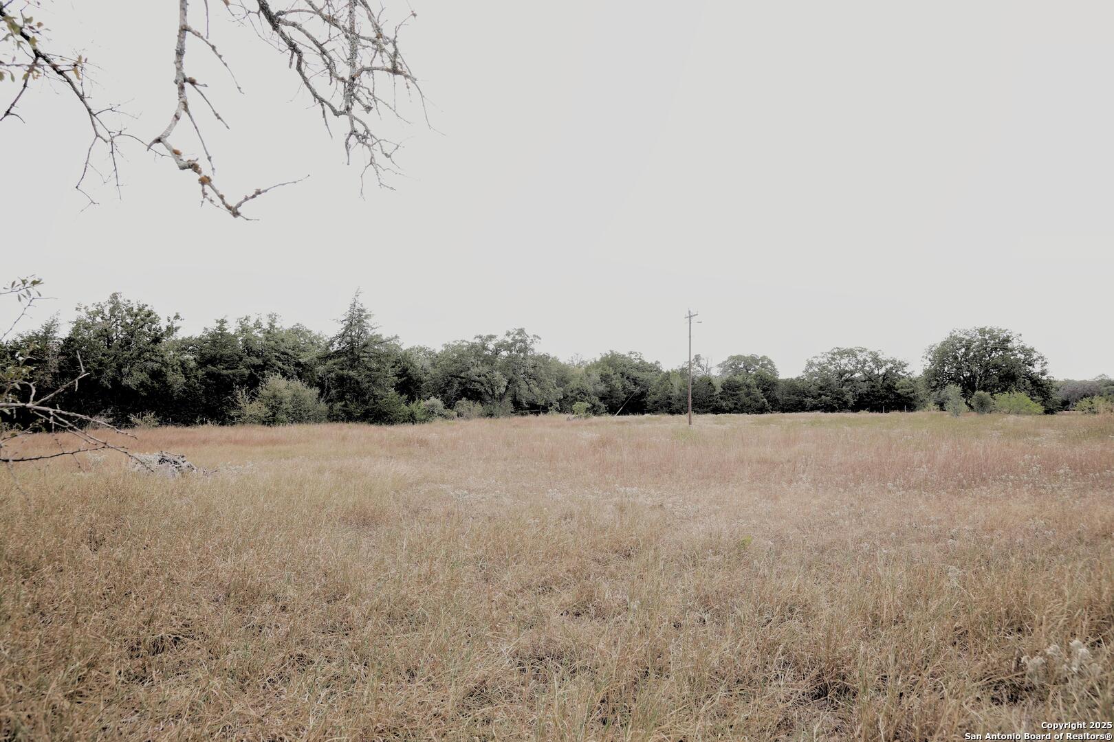 81 Sandy Creek Road Dale TX 78616