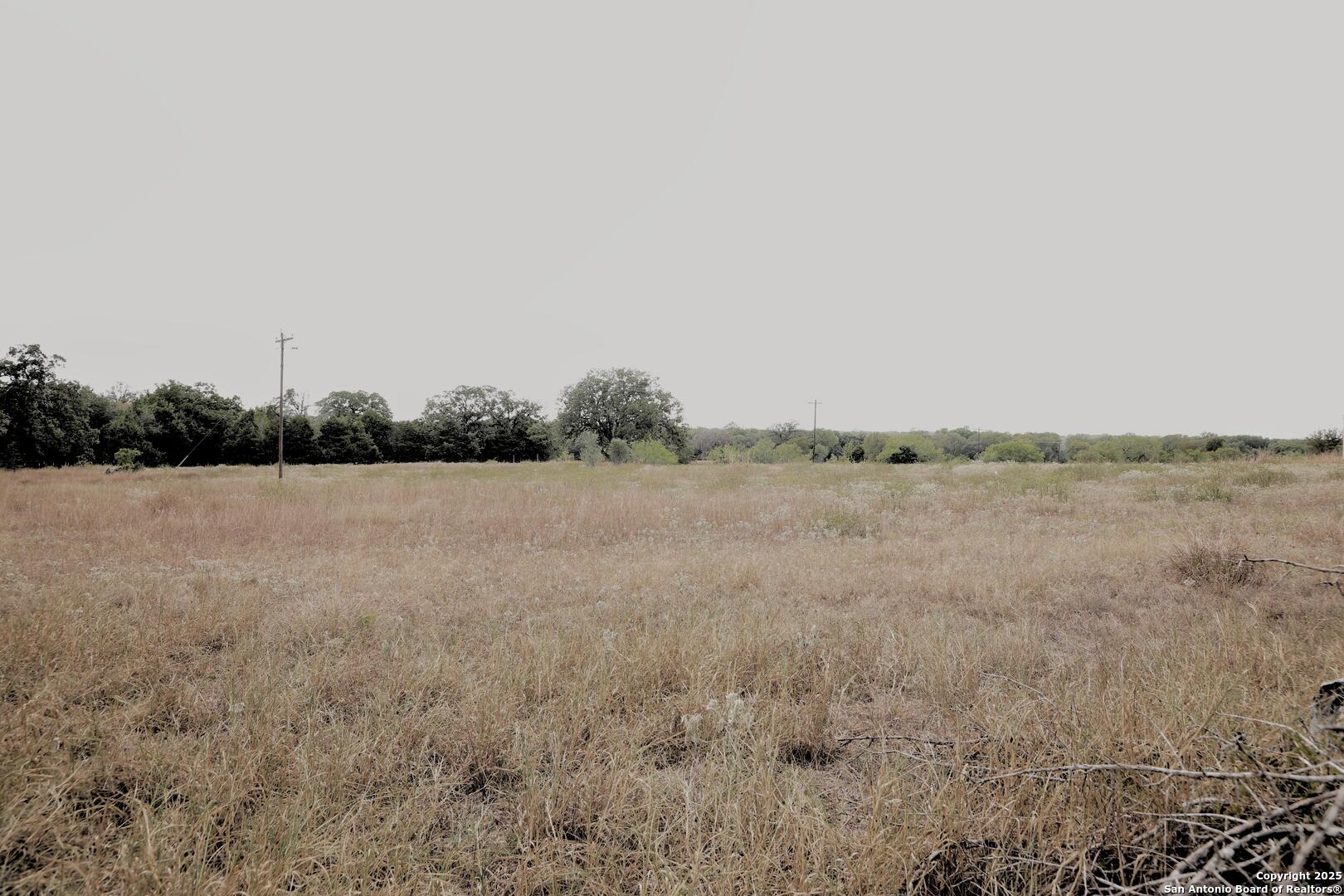 81 Sandy Creek Road Dale TX 78616