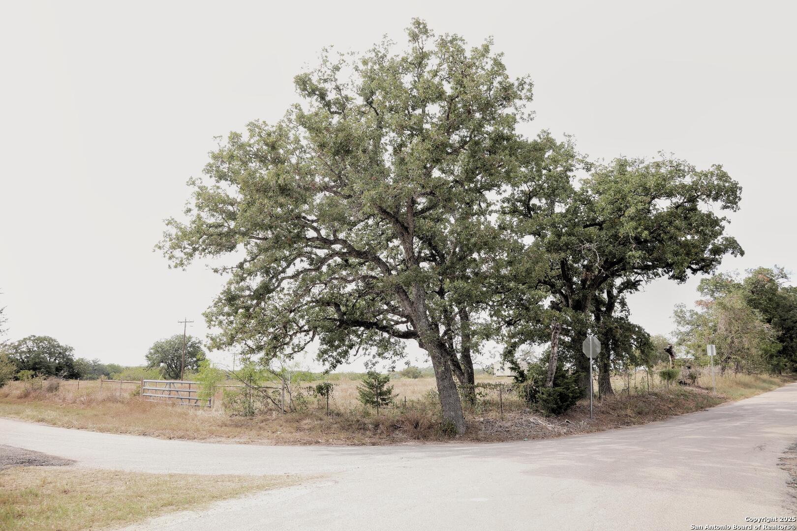 81 Sandy Creek Road Dale TX 78616