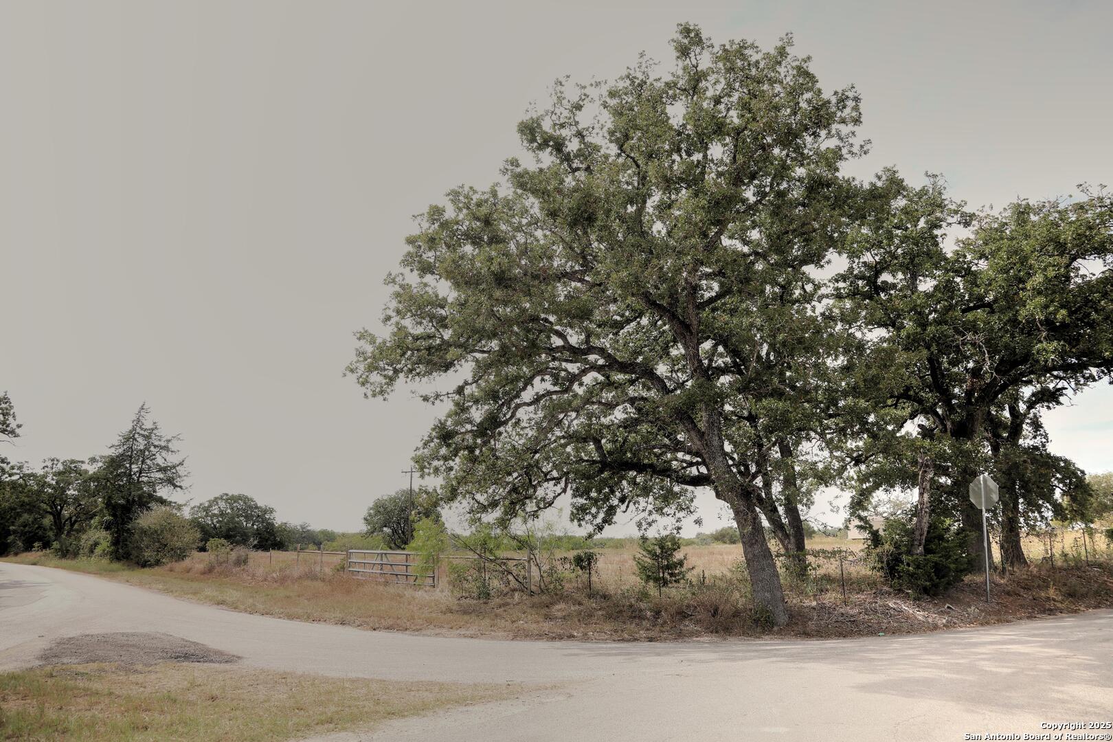 81 Sandy Creek Road Dale TX 78616
