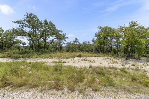 831 Lovett Ridge Road Bulverde TX 78163