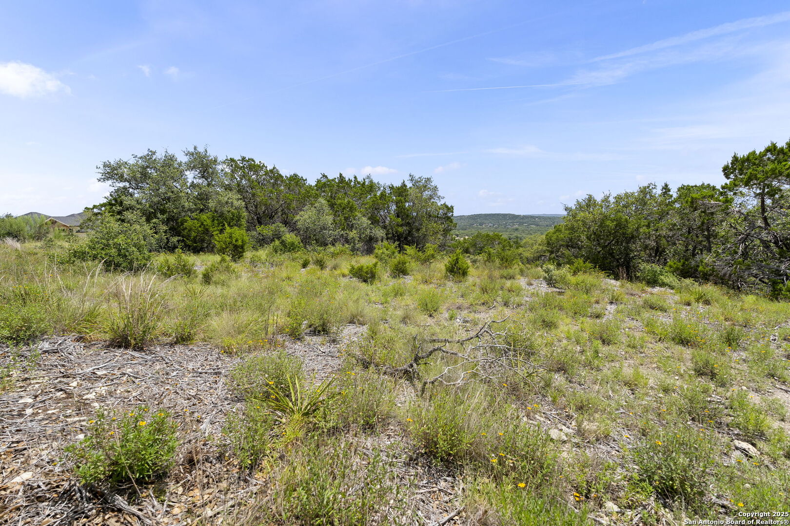 831 Lovett Ridge Road Bulverde TX 78163