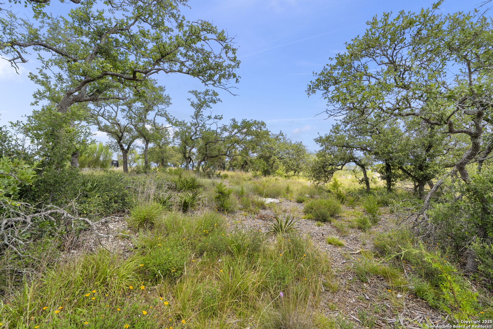831 Lovett Ridge Road Bulverde TX 78163