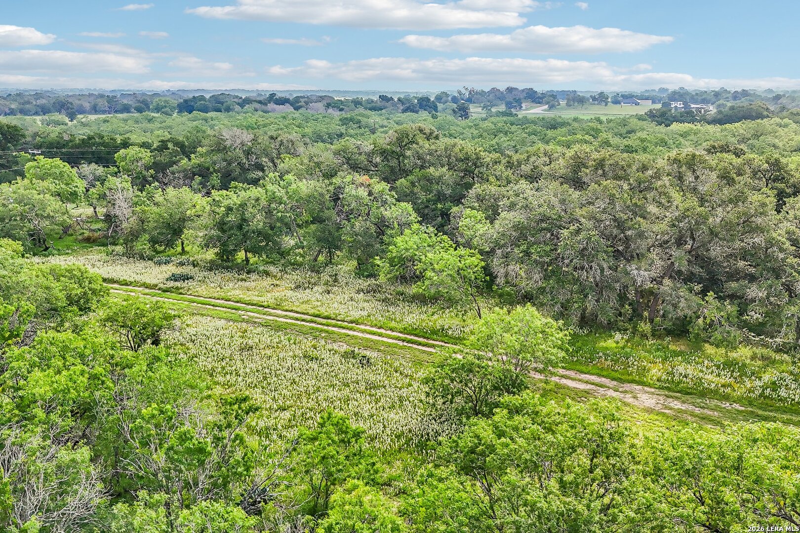 1617 Blue Creek Road La Vernia TX 78121