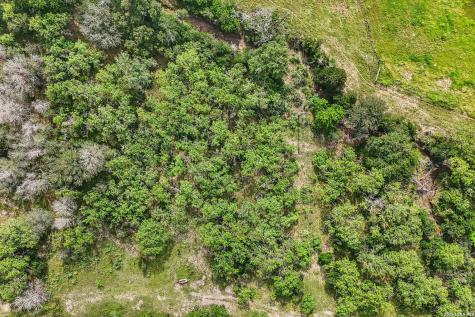 1617 Blue Creek Road La Vernia TX 78121