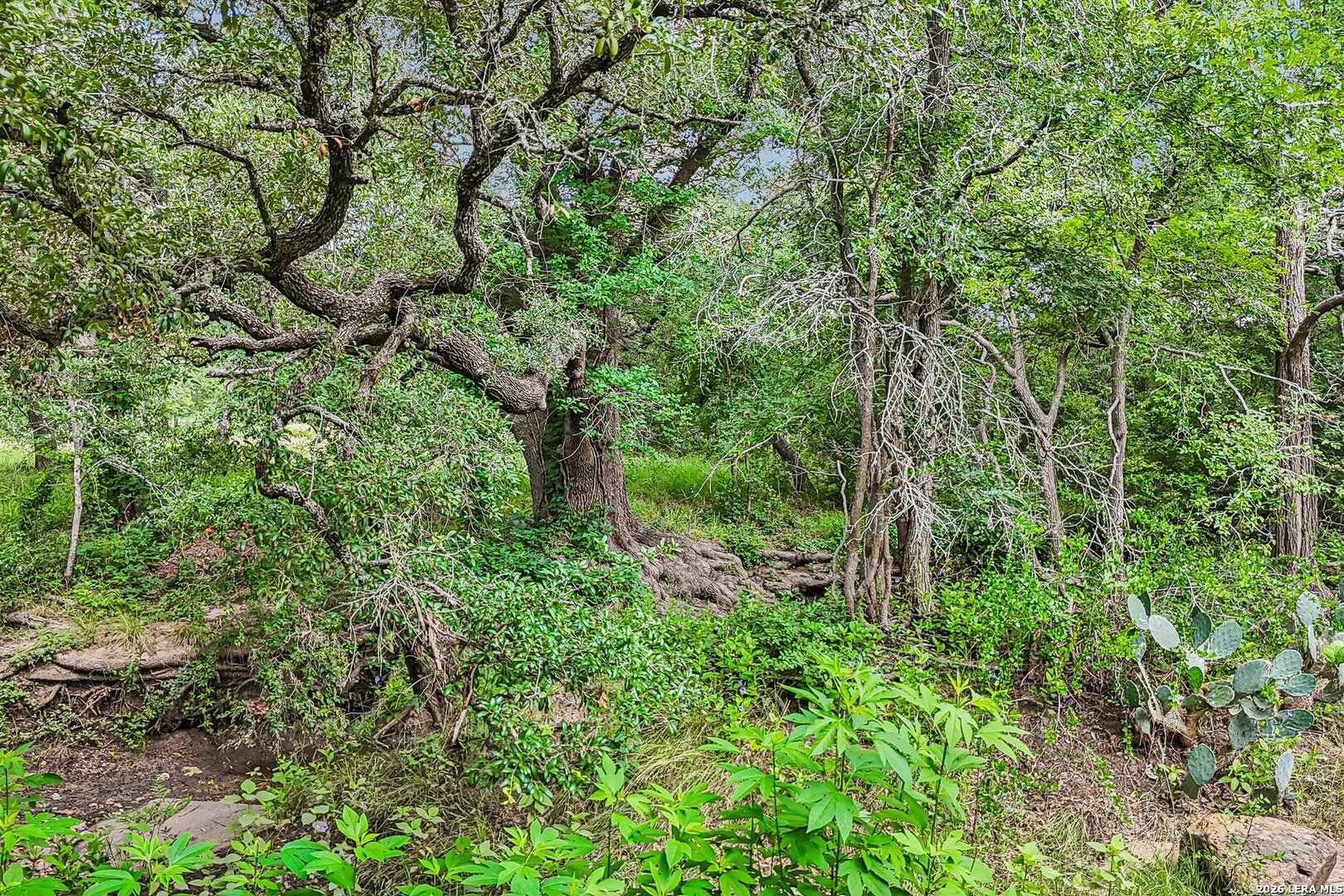 1617 Blue Creek Road La Vernia TX 78121