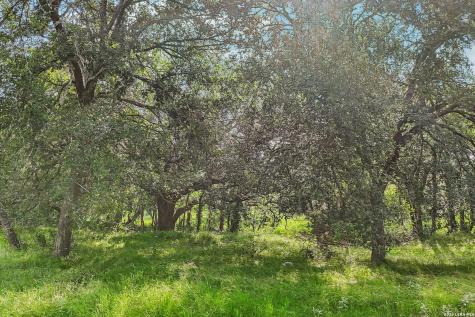 1617 Blue Creek Road La Vernia TX 78121