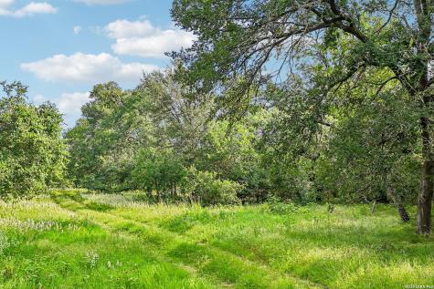 1617 Blue Creek Road La Vernia TX 78121