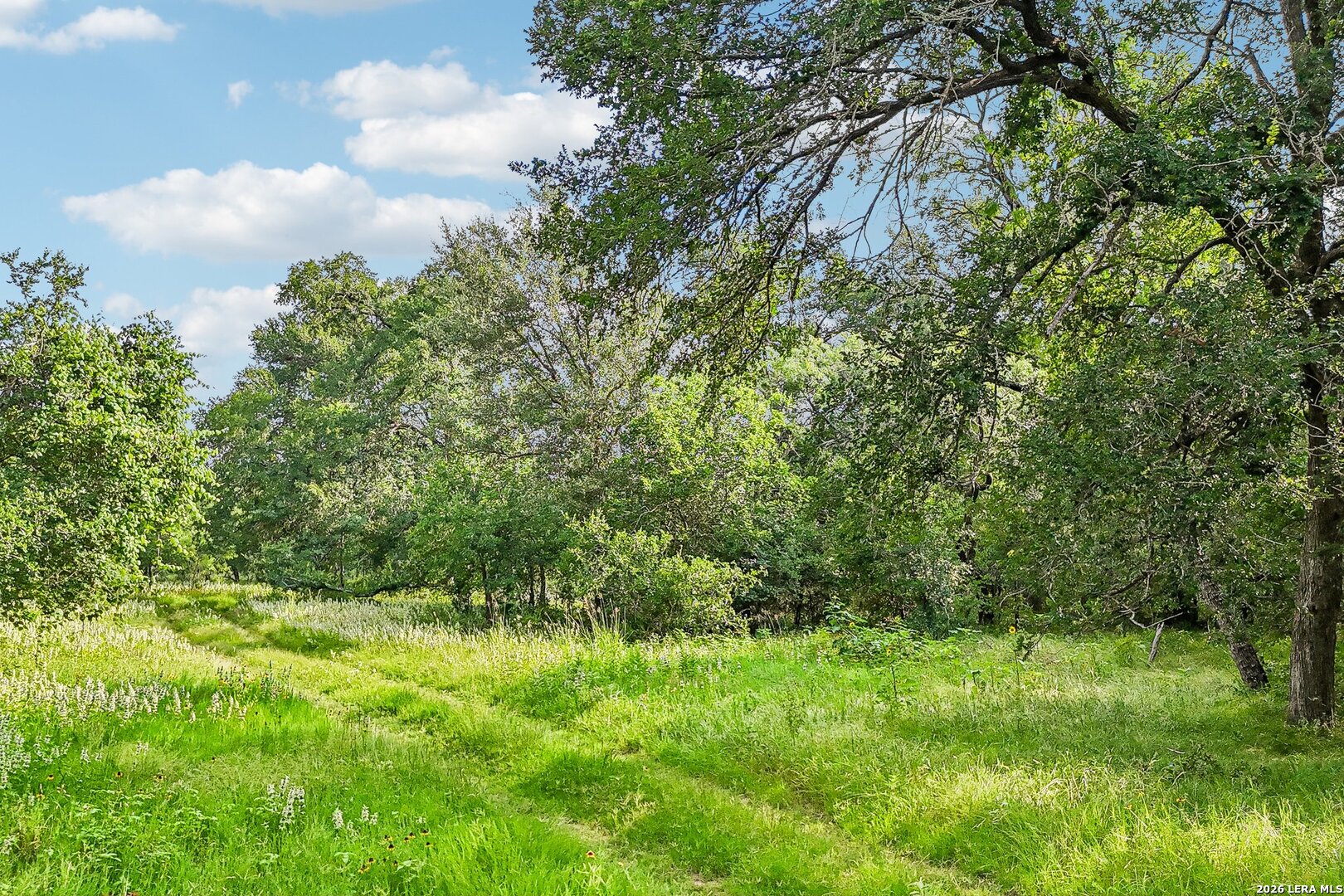 1617 Blue Creek Road La Vernia TX 78121
