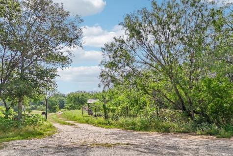 1617 Blue Creek Road La Vernia TX 78121