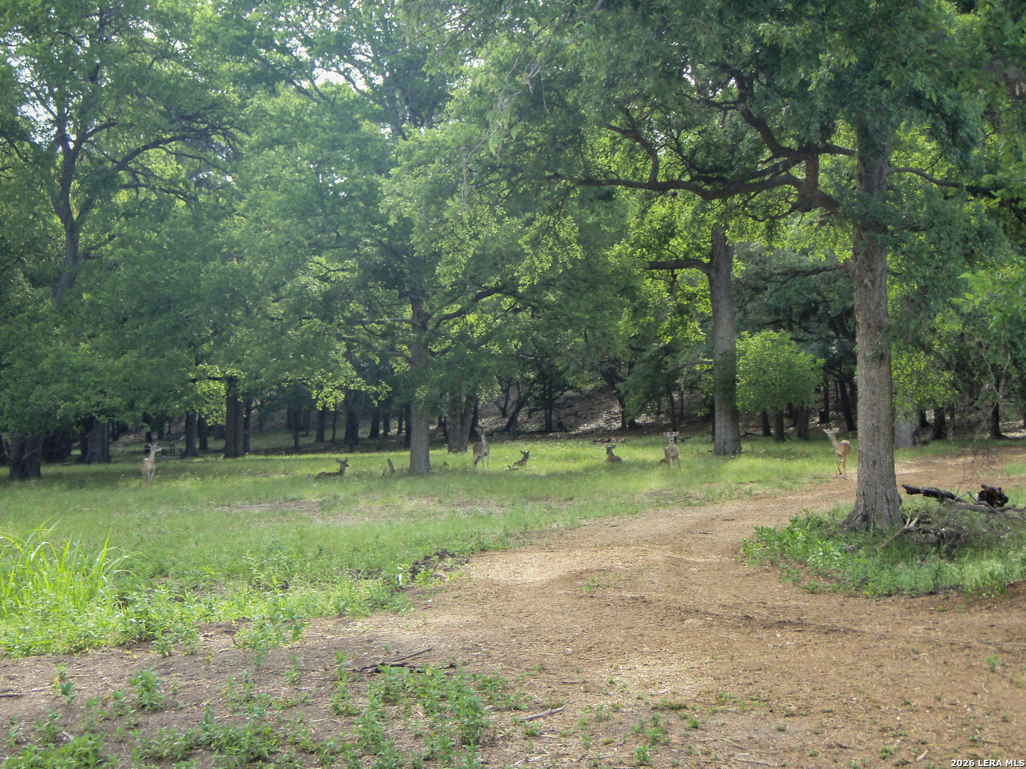 2305 Bella Vista Canyon Lake TX 78133