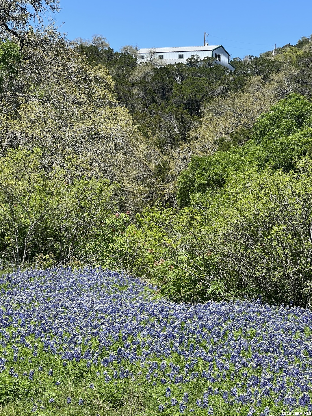 11200 Fm 306 New Braunfels TX 78132