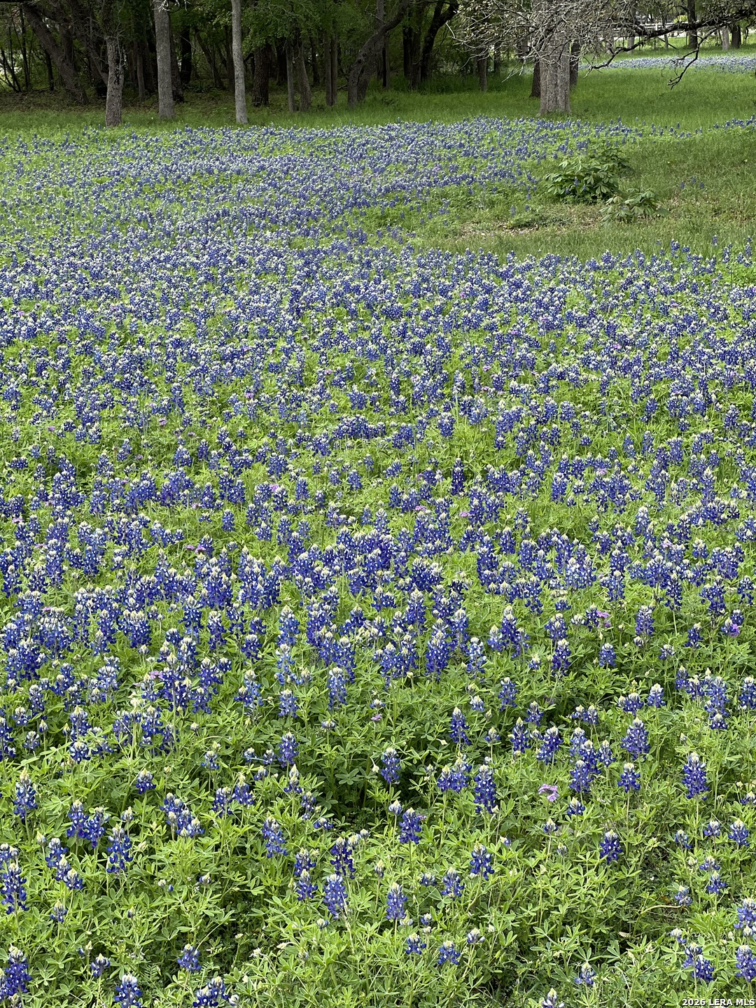 11200 Fm 306 New Braunfels TX 78132
