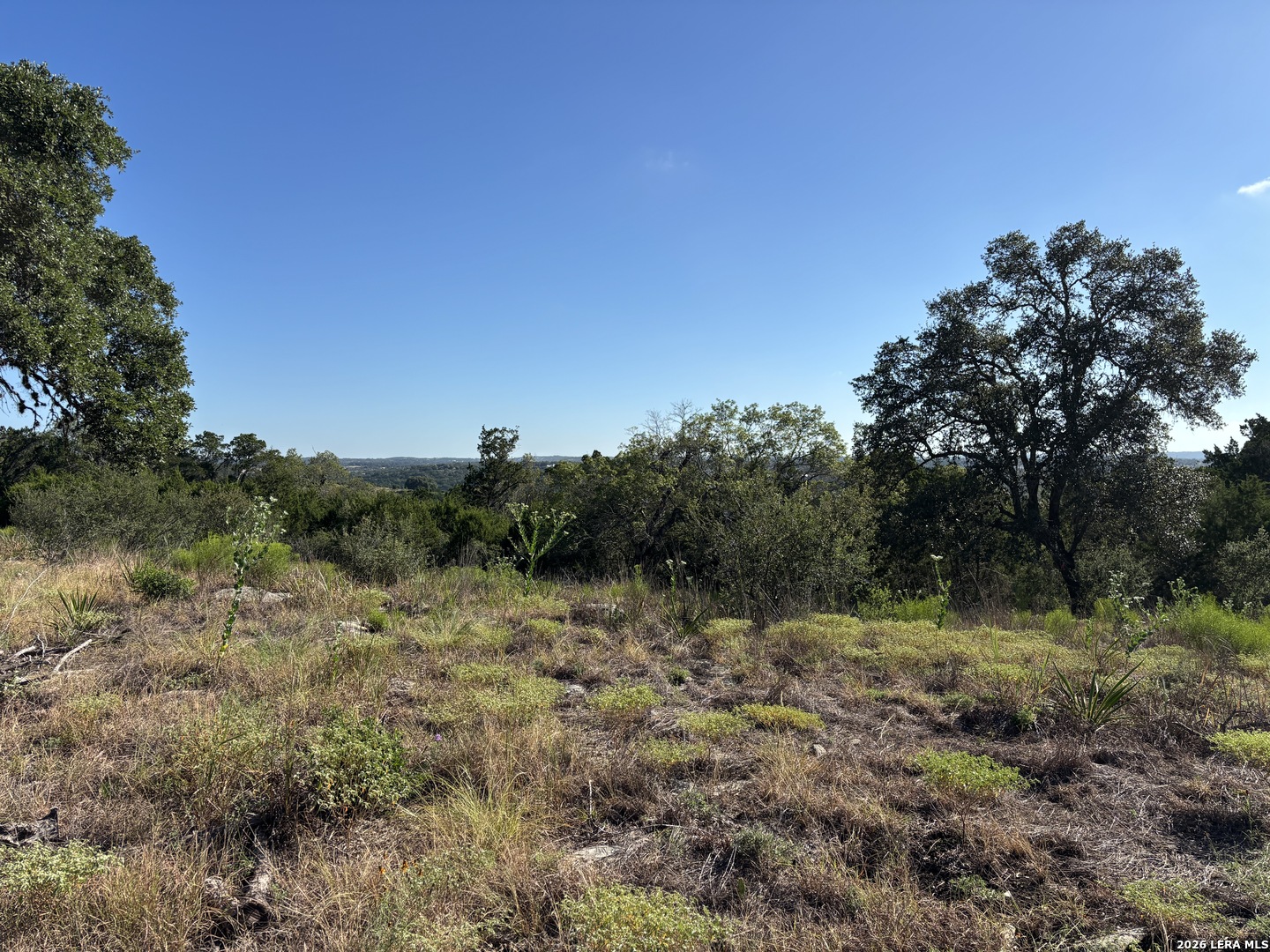 209 Starling Pass Spring Branch TX 78070