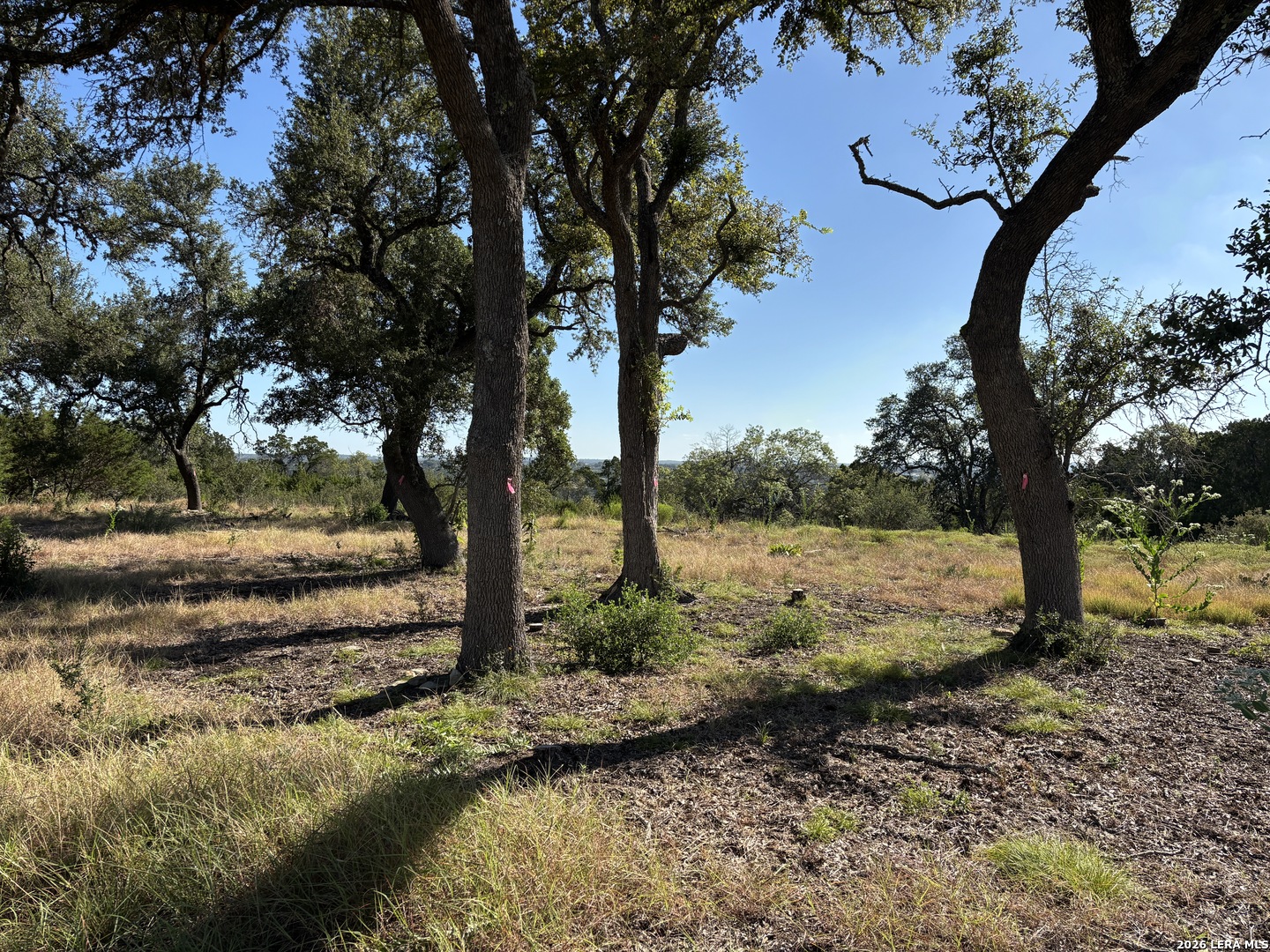 209 Starling Pass Spring Branch TX 78070