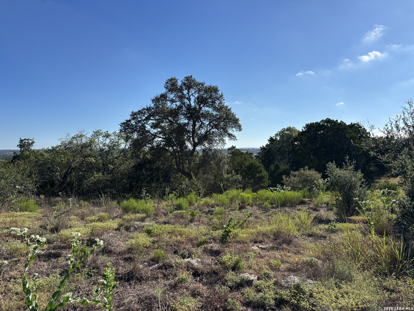 209 Starling Pass Spring Branch TX 78070