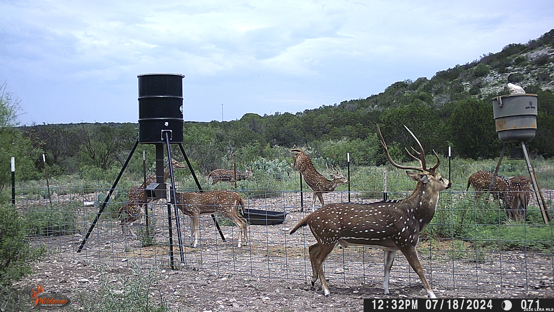 Lot 2 Dusty Rose Ranch East Rocksprings TX 78880