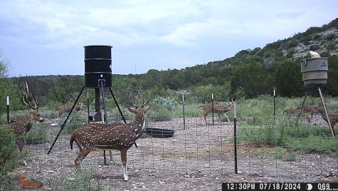 Lot 2 Dusty Rose Ranch East Rocksprings TX 78880