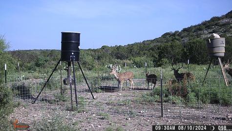 Lot 2 Dusty Rose Ranch East Rocksprings TX 78880