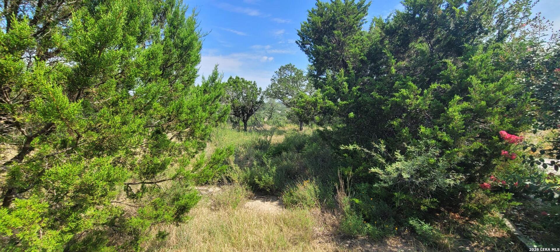 Lot 33 Park Grove Spring Branch TX 78070
