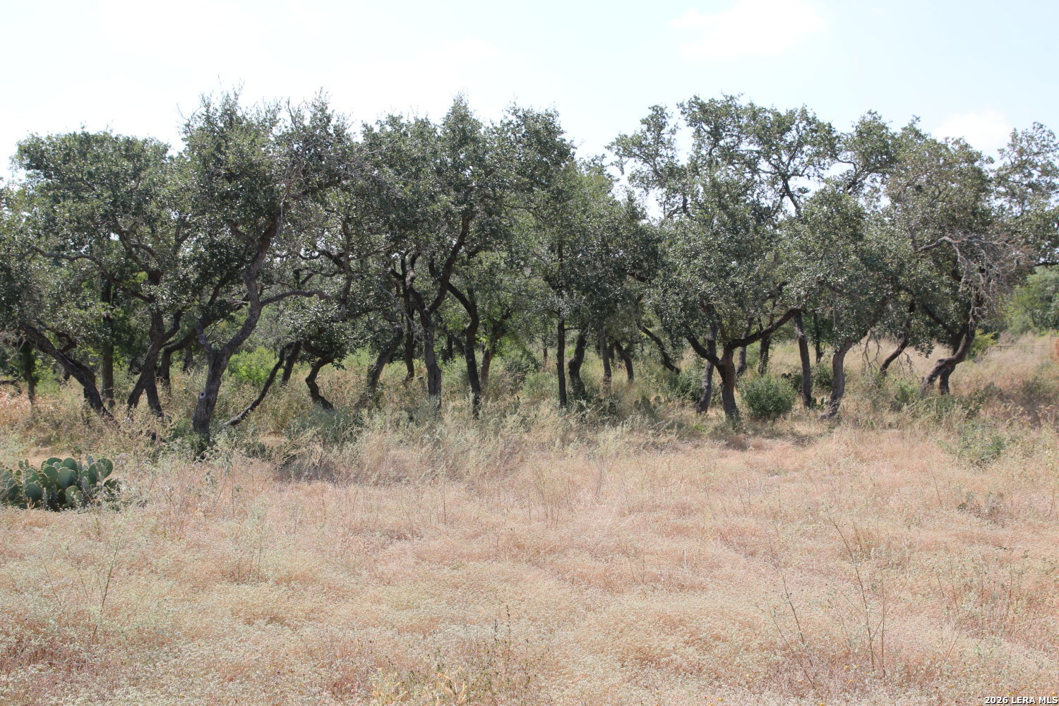 Tbd Stone Loop Castroville TX 78009
