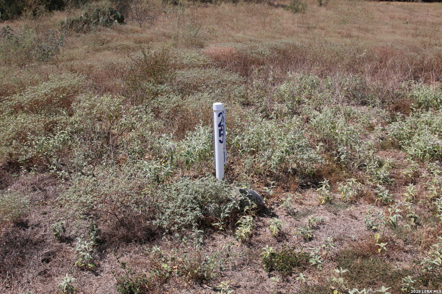 Tbd Stone Loop Castroville TX 78009