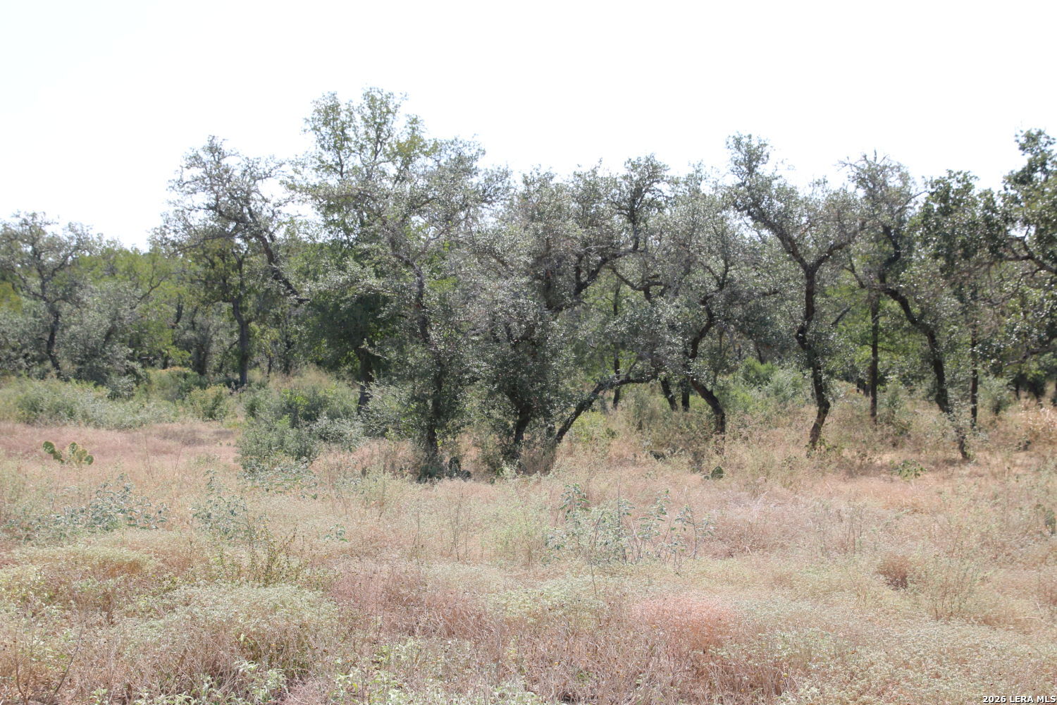Tbd Stone Loop Castroville TX 78009