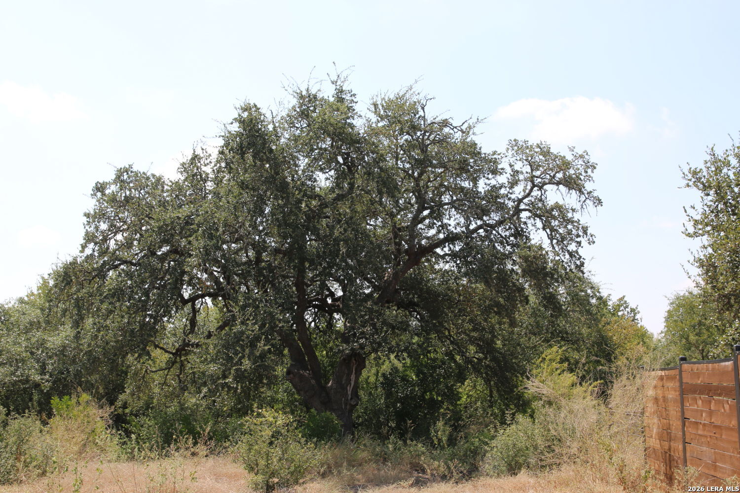 Tbd Stone Loop Castroville TX 78009