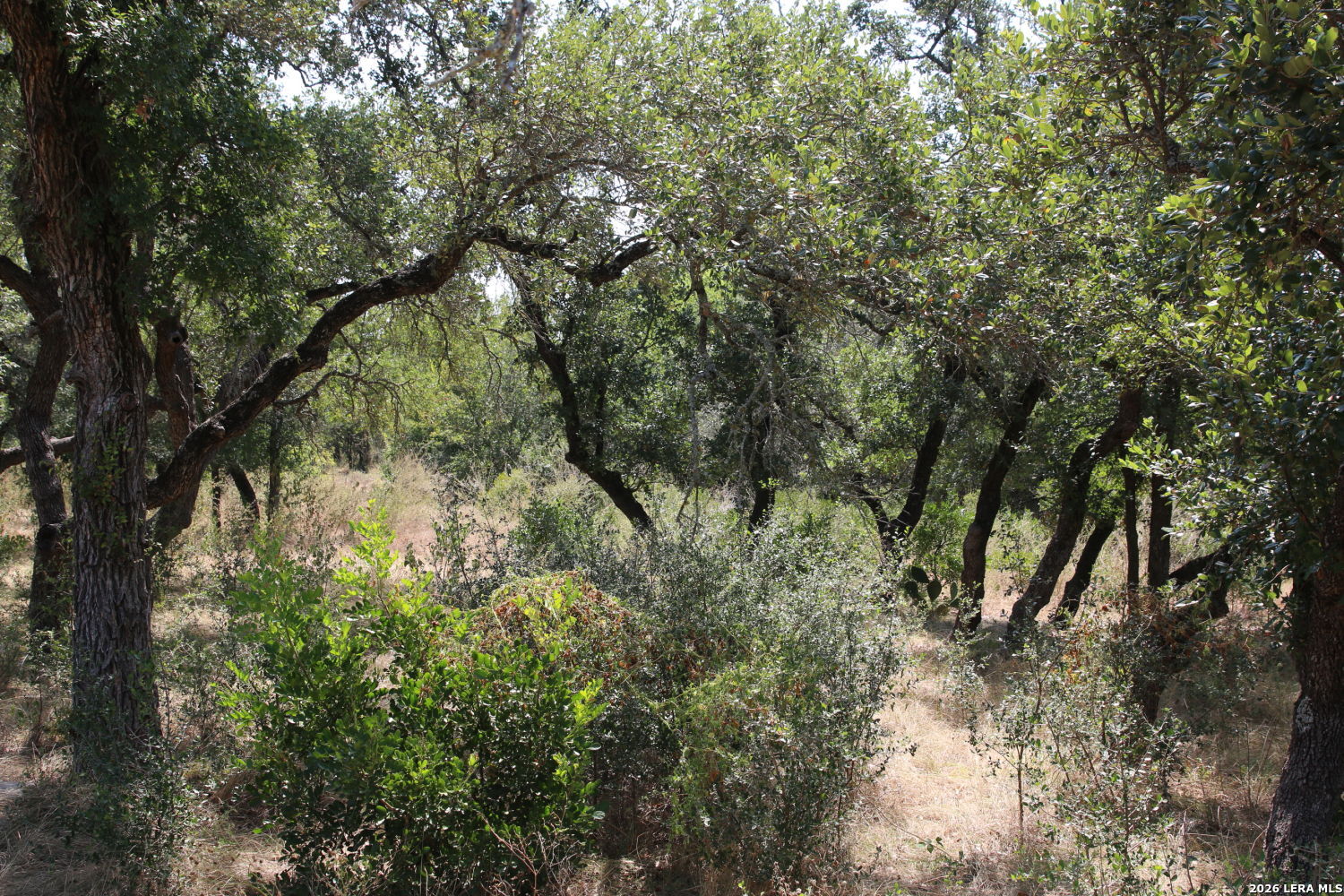 Tbd Stone Loop Castroville TX 78009
